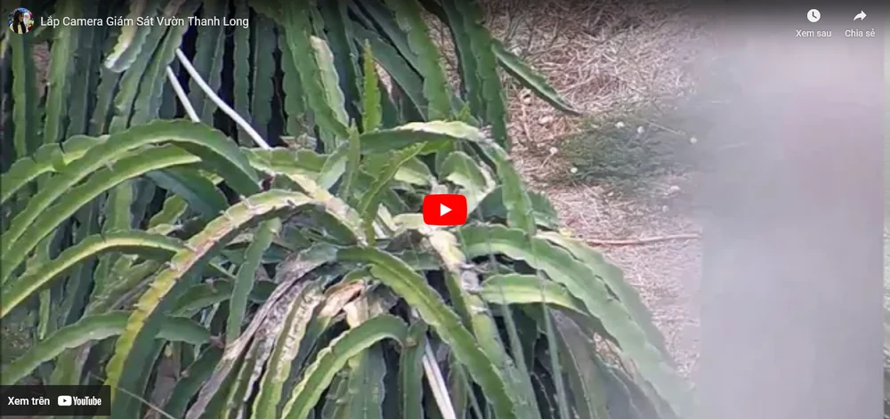 Lắp Bộ Camera Giá Rẻ Hỗ Trợ Đàm Thoại Âm Thanh